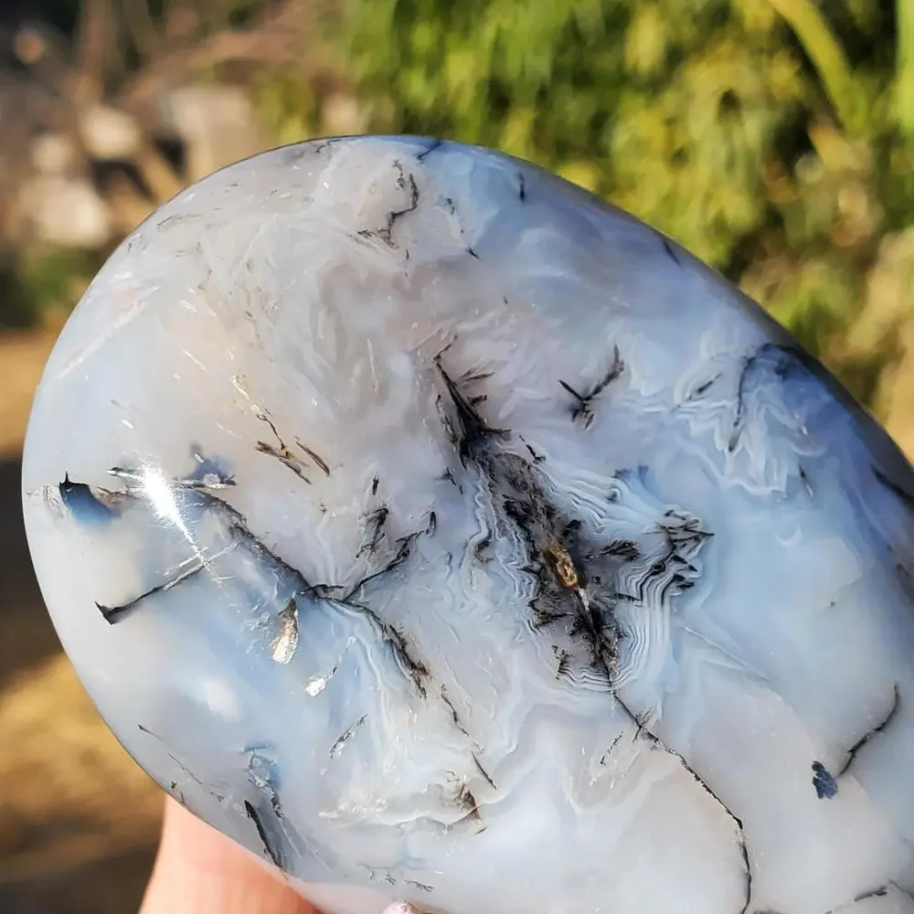 Dendritic Agate Multi-Color Pattern Translucent Freeform Crystal 258 Grams
